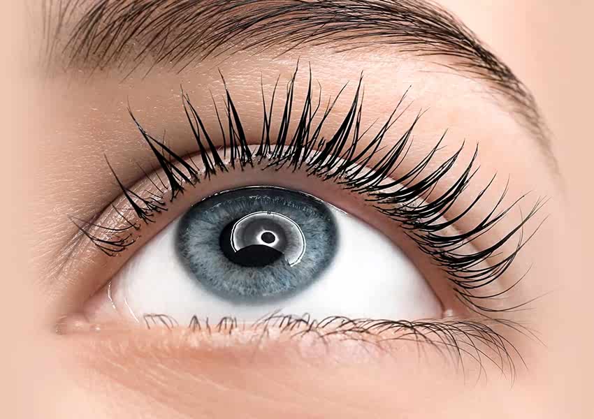 Lotus Sağlık Güzellik